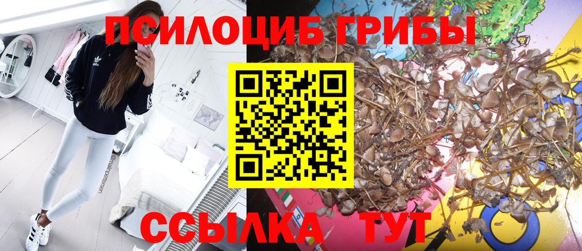 Галлюциногенные грибы прущие грибы Звенигород